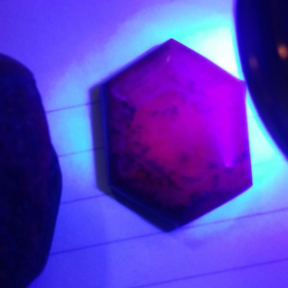 Meet your Posher, Autumn - Picture 4 of 10